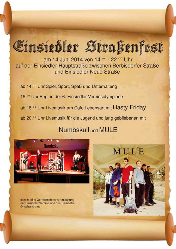 Straenfest 2014_1